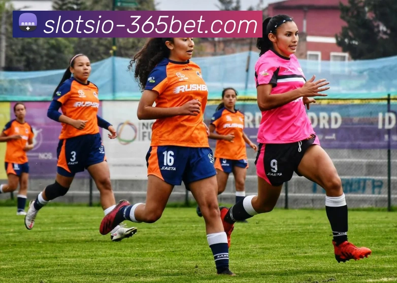 App Interface Preview